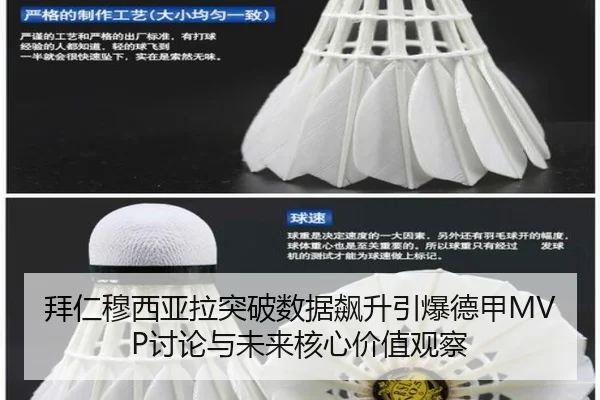 bai-ren-mu-xi-ya-la-tu-po-shu-ju-biao-sheng-yin-bao-de-jia-tao-lun-yu-wei-lai-he-xin-jia-zhi-guan-cha-2-304.jpg