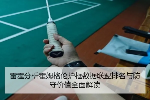 雷霆分析霍姆格伦护框数据联盟排名与防守价值全面解读